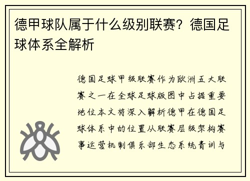 德甲球队属于什么级别联赛？德国足球体系全解析